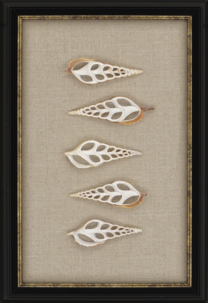 Kani Shell Beige Artwork - Thumbnail - Image 1