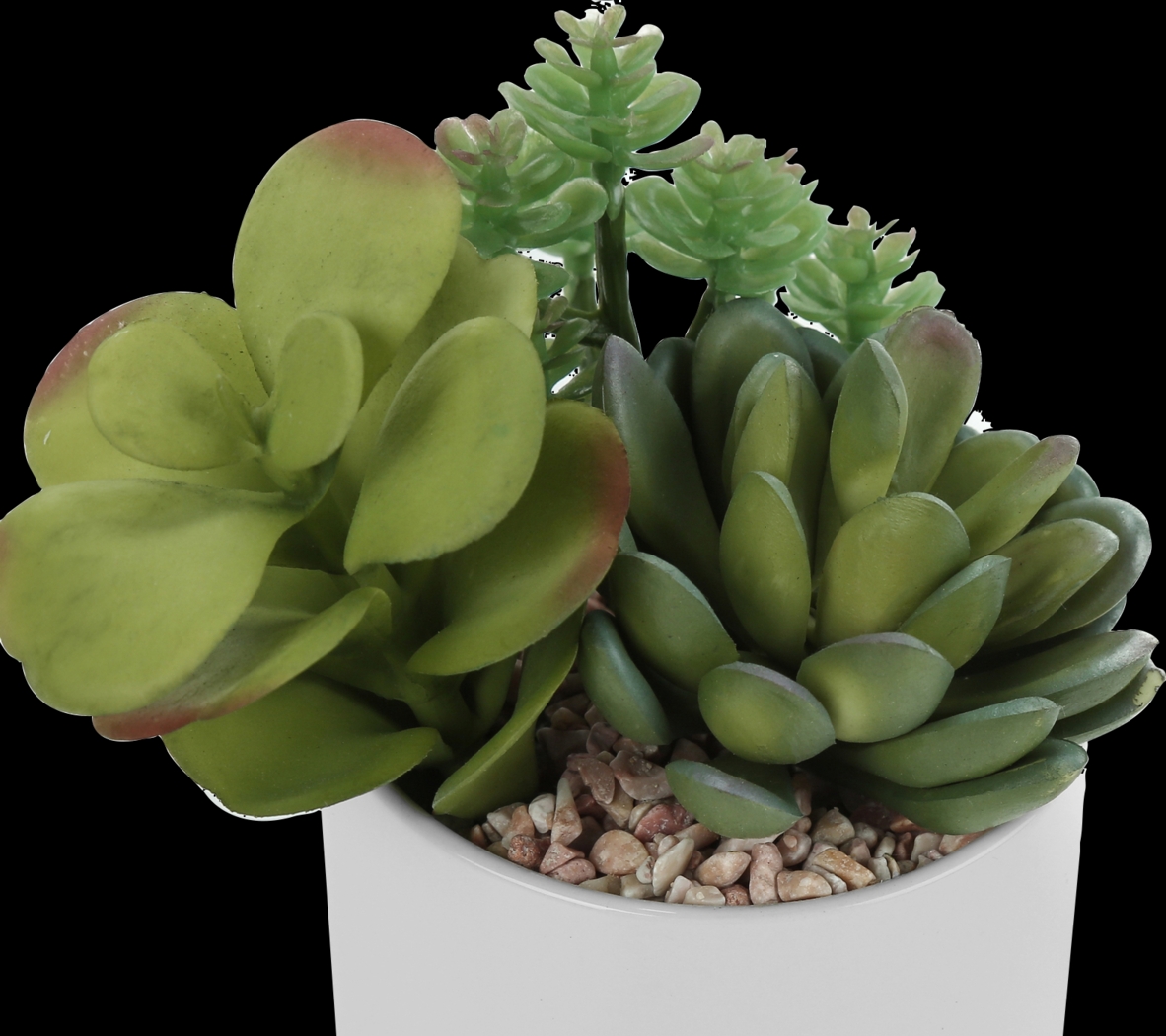 Karakara Green Artificial Succulent Plant, Set of 2 - Thumbnail - Image 3