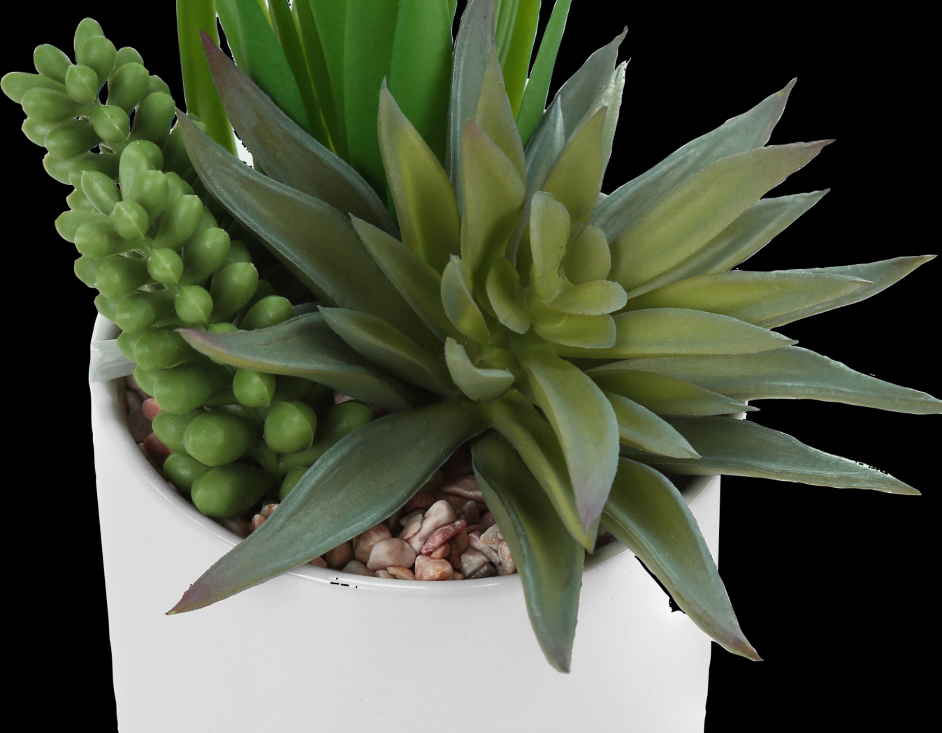 Karakara Green Artificial Succulent Plant, Set of 2 - Thumbnail - Image 4