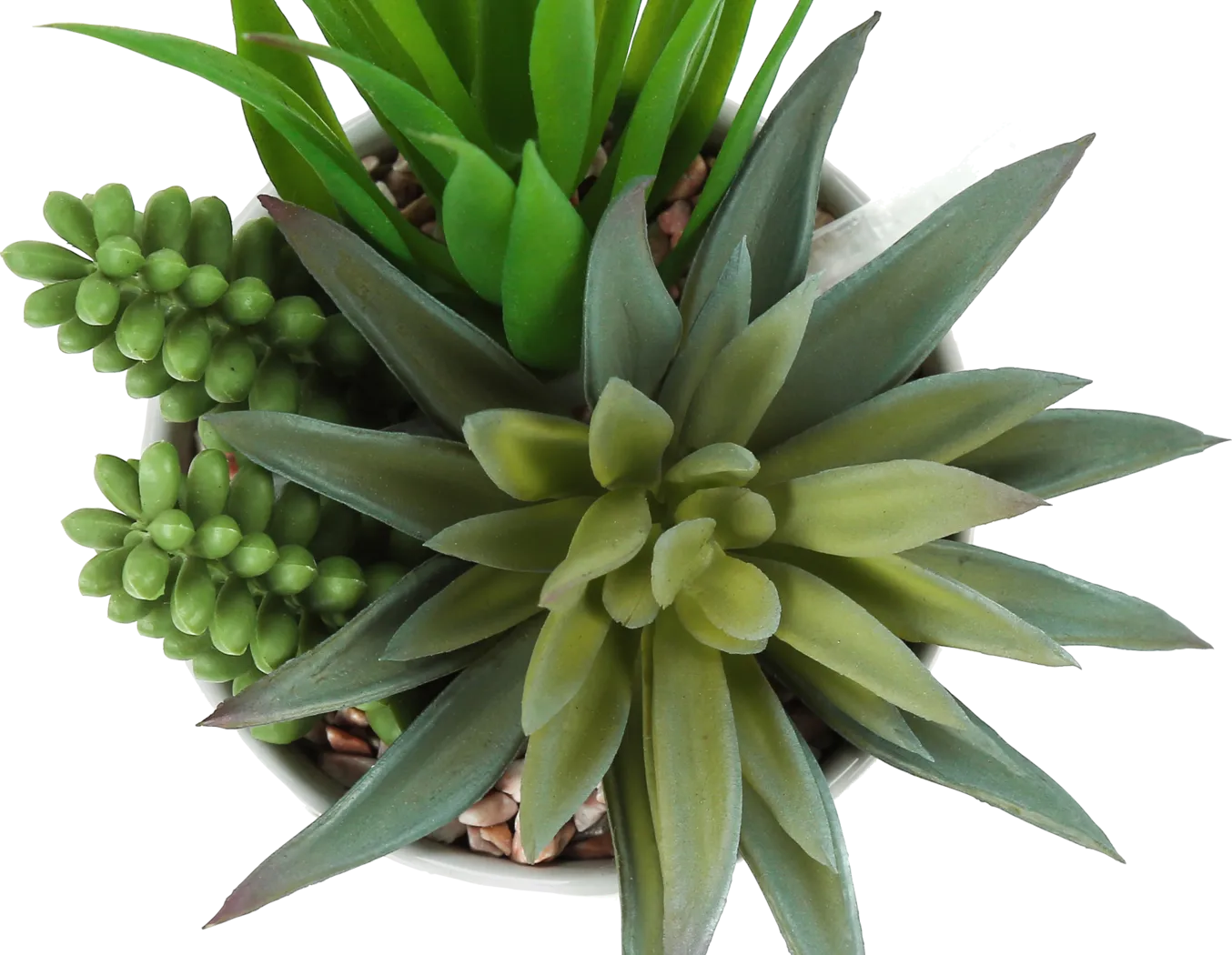 Karakara Green Artificial Succulent Plant, Set of 2 - Image 5