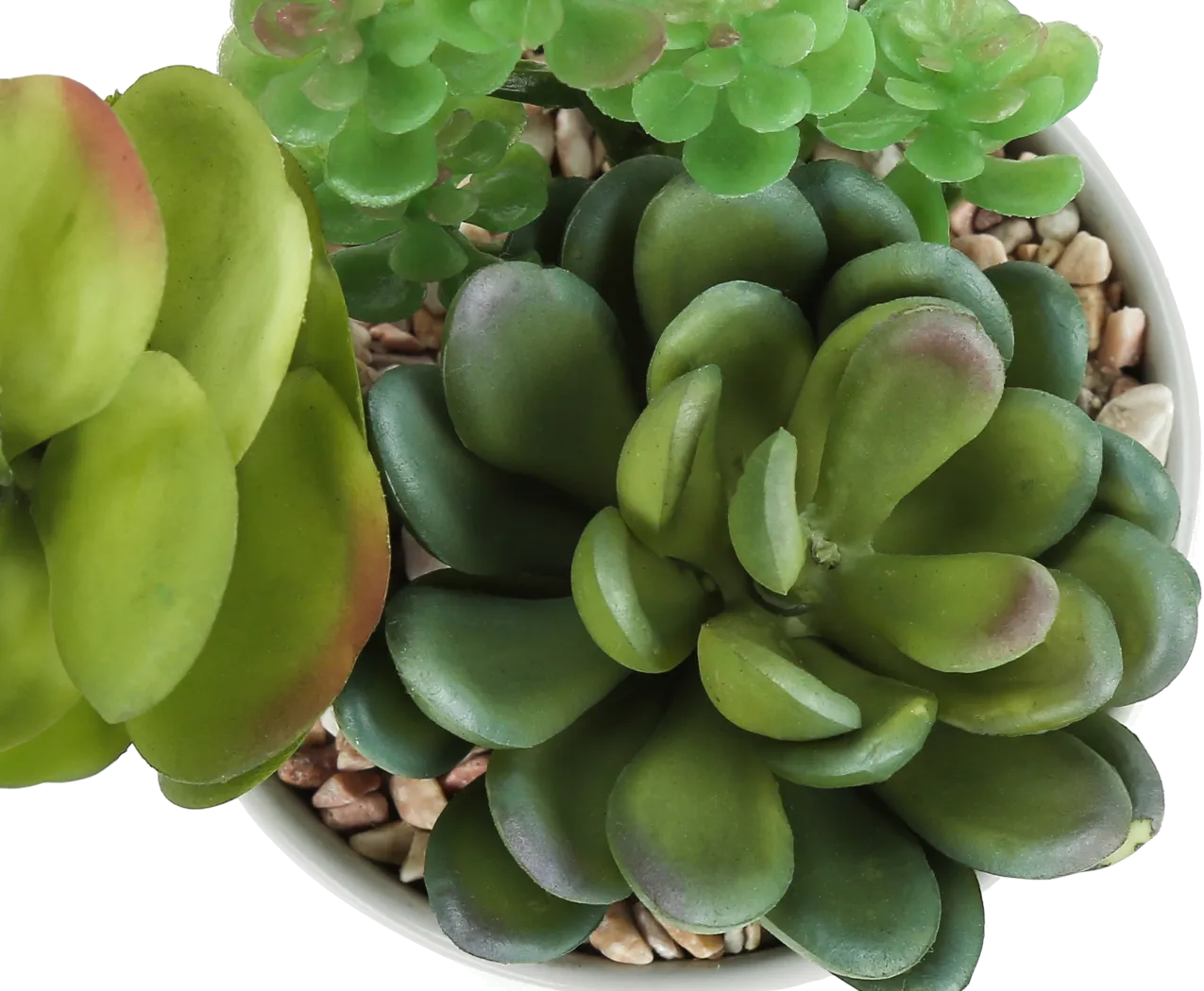 Karakara Green Artificial Succulent Plant, Set of 2 - Image 6