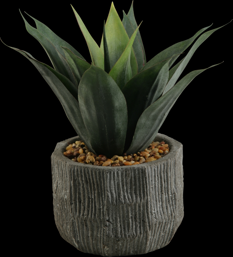 Kaylen Green Agave Silk Plant - Thumbnail - Image 1