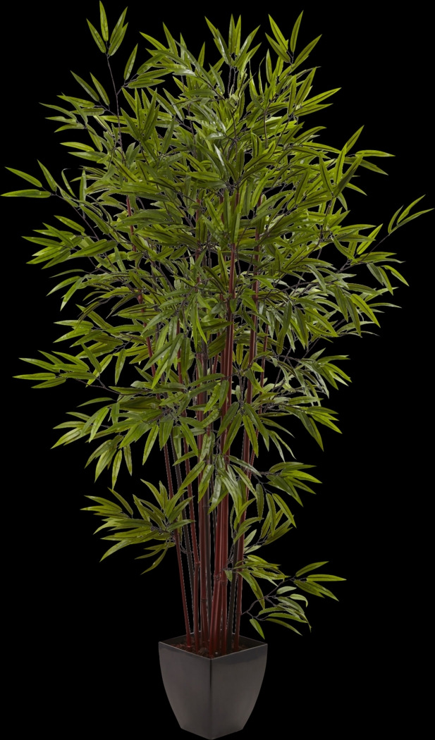 Kaysen Green Bamboo Silk Tree - Thumbnail - Image 1