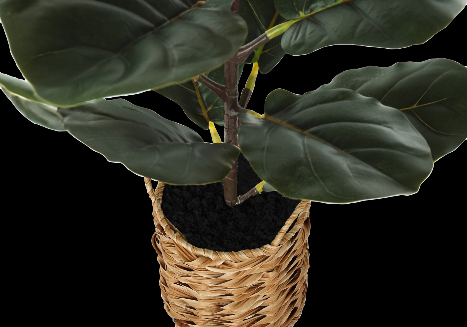 Ketembilla Green Artificial Fiddle Tree - Thumbnail - Image 3