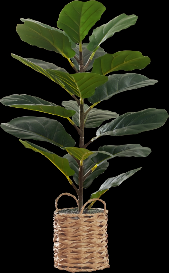 Ketembilla Green Artificial Fiddle Tree - Thumbnail - Image 1