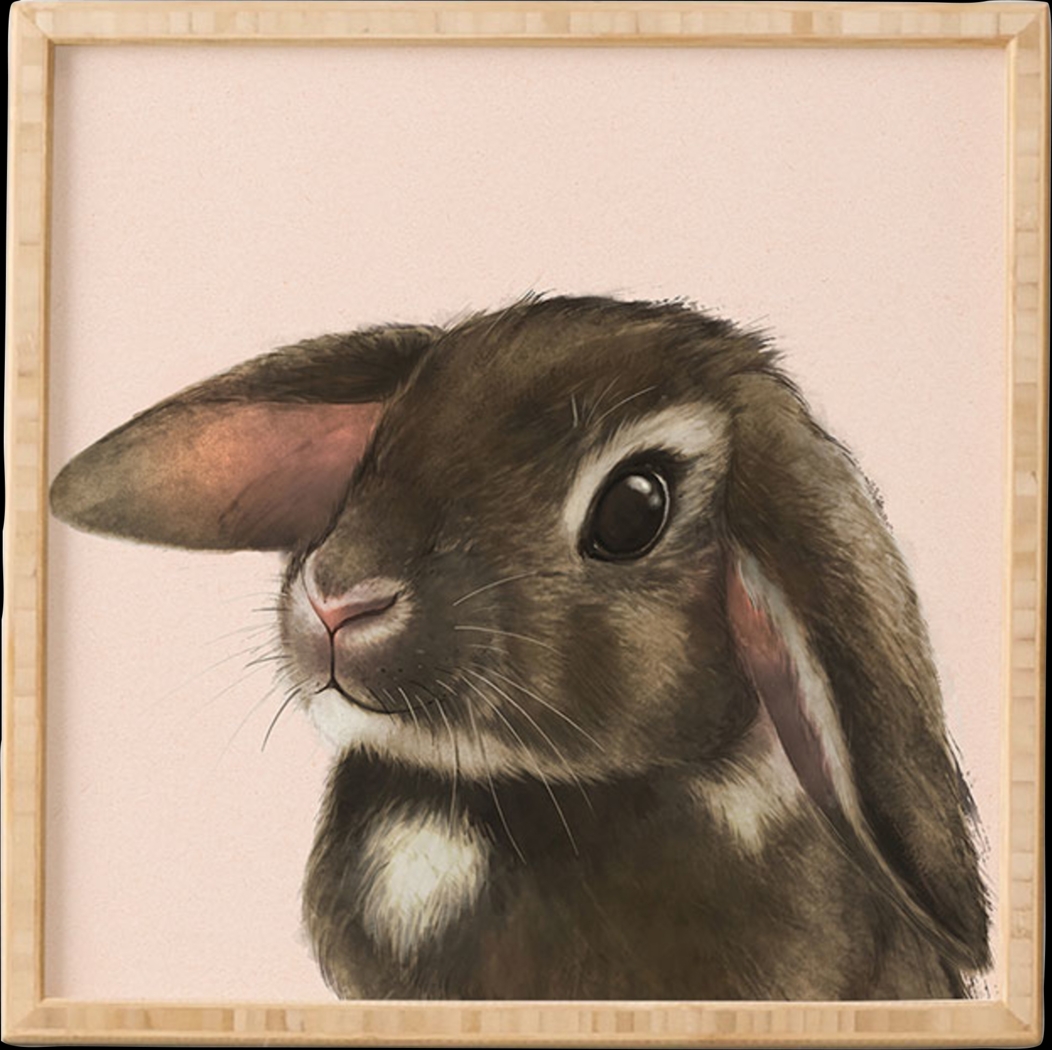 Kids Baby Bunny Boo Pink Framed Wall Art - Thumbnail - Image 1