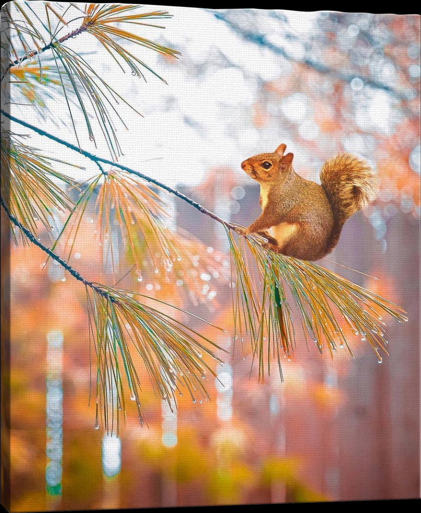 Kids Baby Squirrel I Brown Artwork - Thumbnail - Image 1