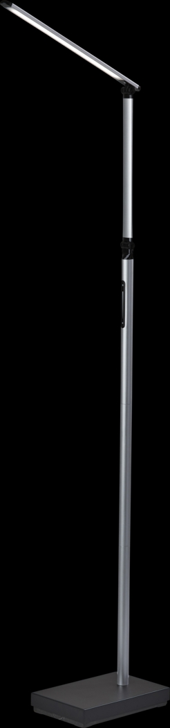 Kids Belgreen Black Floor Lamp - Thumbnail - Image 1