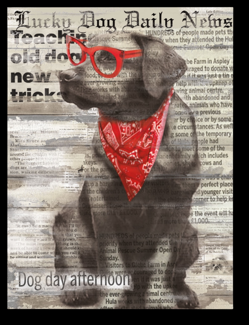 Kids Doggie Papers II Gray Artwork - Thumbnail - Image 1