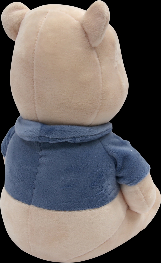 Kids Forever Pooh Plush - Thumbnail - Image 4