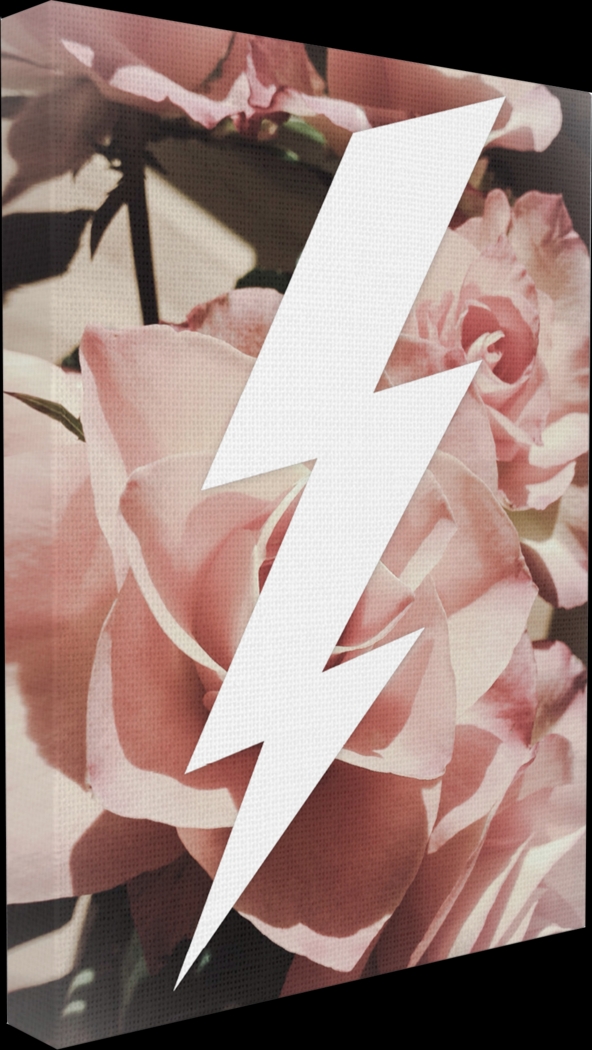 Kids Graphic Lightning Bolt and Roses Artwork - Thumbnail - Image 2