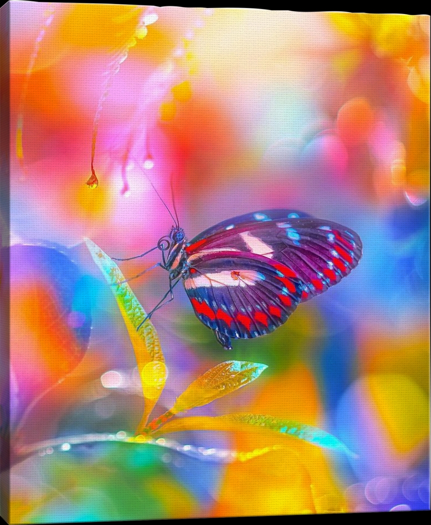 Kids Kaleidoscope Butterfly I Rainbow Artwork - Thumbnail - Image 1