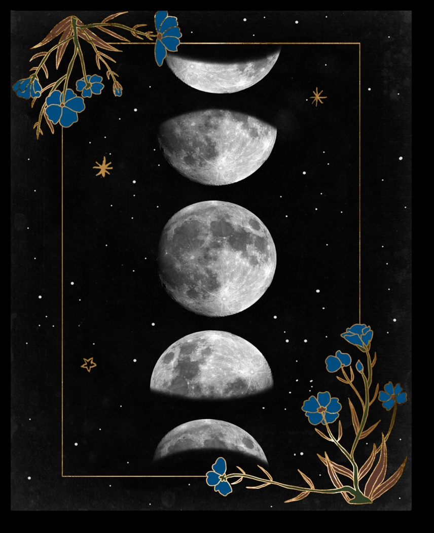 Kids Moon Flora Black Artwork - Thumbnail - Image 1