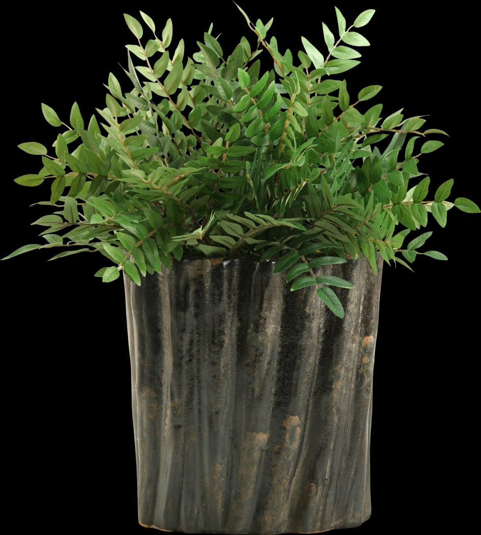 Kieryn Green Locust Large Silk Plant - Thumbnail - Image 1