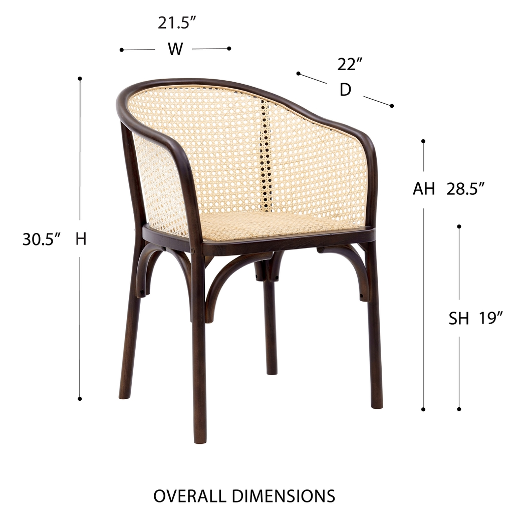 Kiltie Walnut Arm Chair - Thumbnail - Image 7