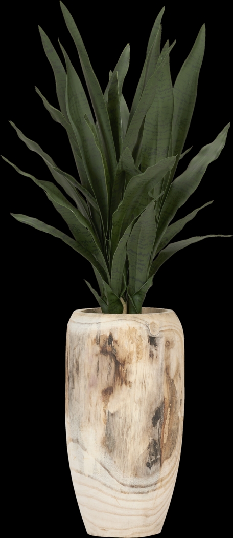 Kirschen Brown Silk Plant - Thumbnail - Image 1