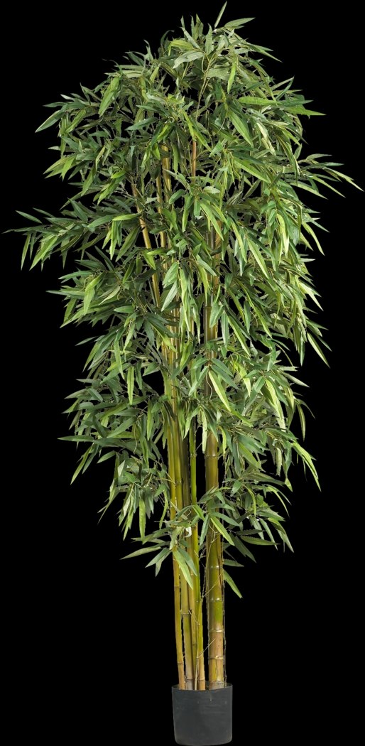 Kodha Green Bamboo Silk Tree - Thumbnail - Image 1