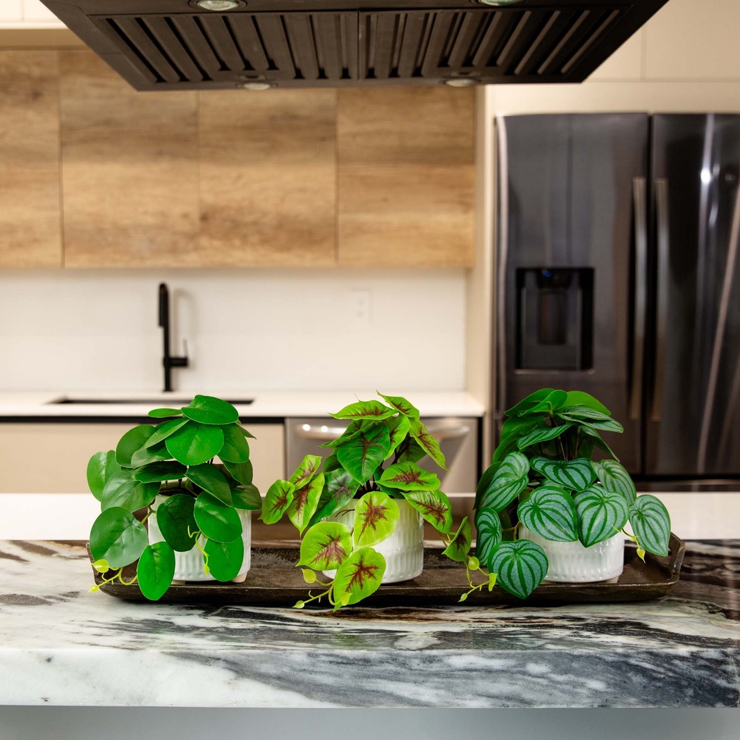 Kondrla Green Silk Plant, Set of 3 - Thumbnail - Image 2