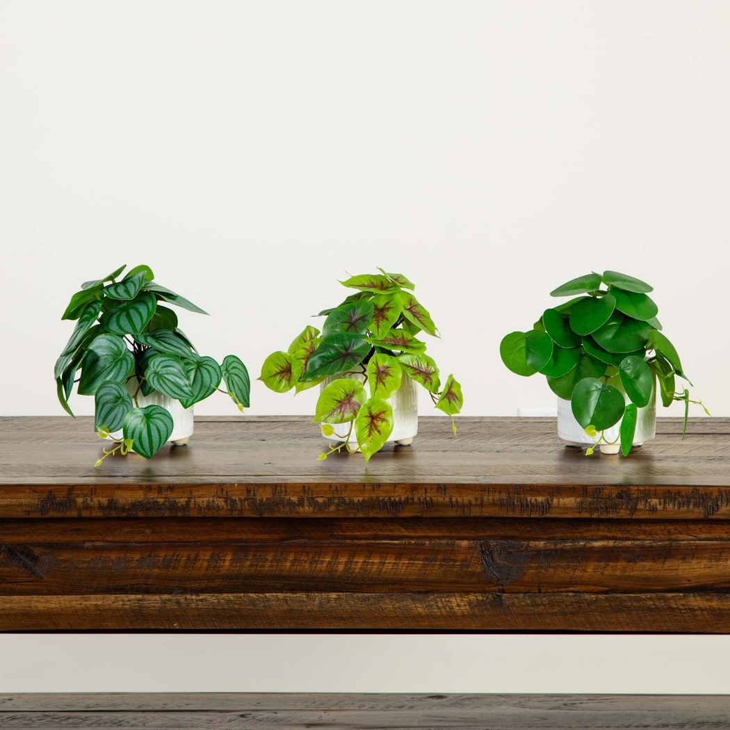 Kondrla Green Silk Plant, Set of 3 - Thumbnail - Image 11