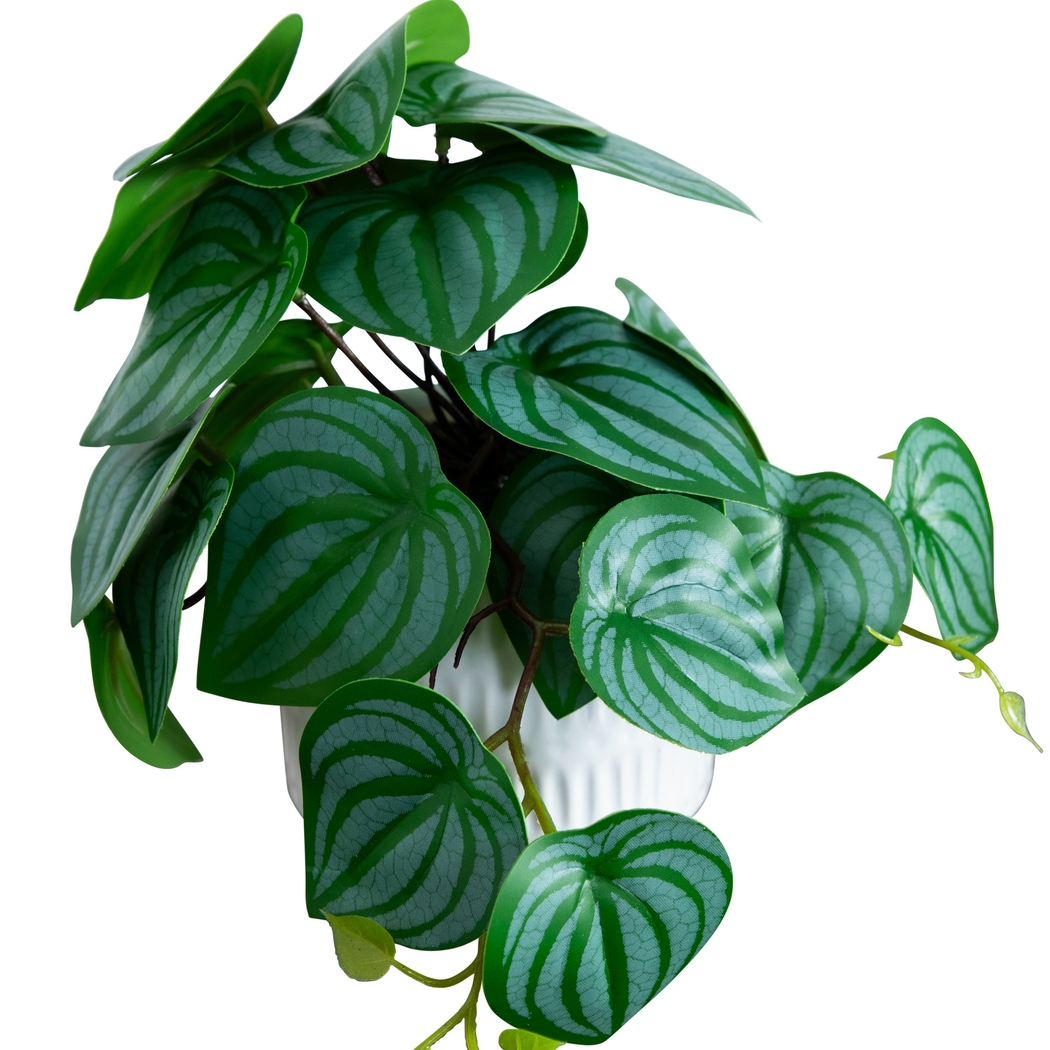 Kondrla Green Silk Plant, Set of 3 - Thumbnail - Image 3