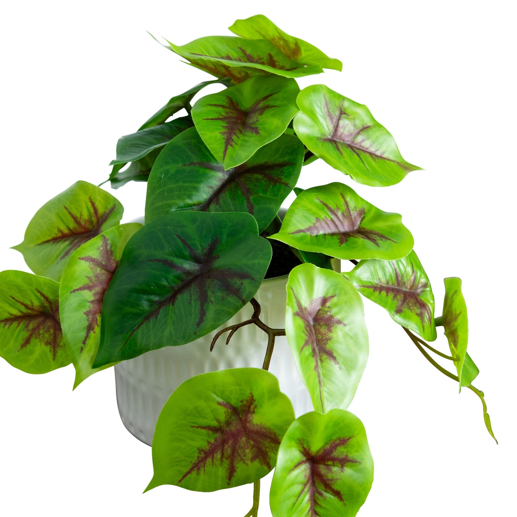 Kondrla Green Silk Plant, Set of 3 - Thumbnail - Image 4