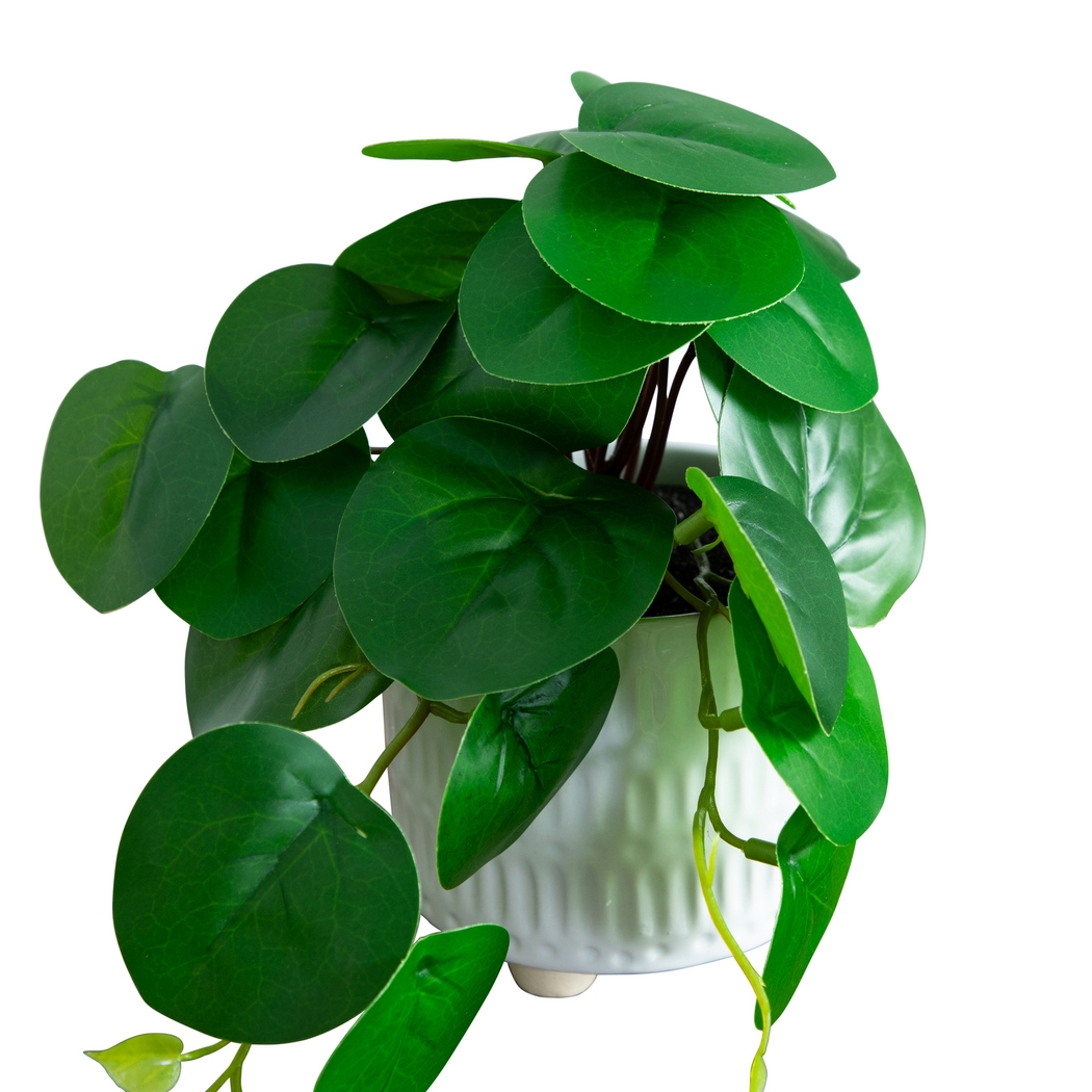 Kondrla Green Silk Plant, Set of 3 - Thumbnail - Image 5