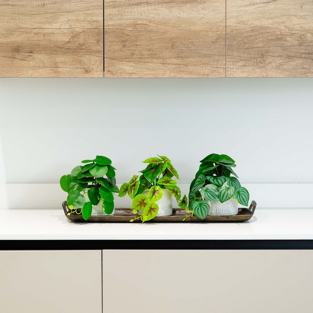 Kondrla Green Silk Plant, Set of 3 - Thumbnail - Image 7