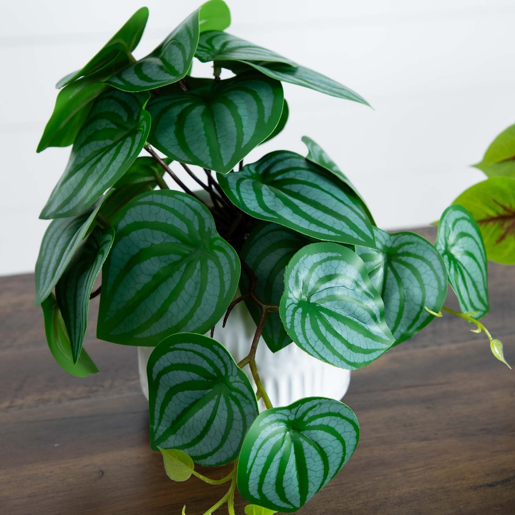 Kondrla Green Silk Plant, Set of 3 - Thumbnail - Image 8