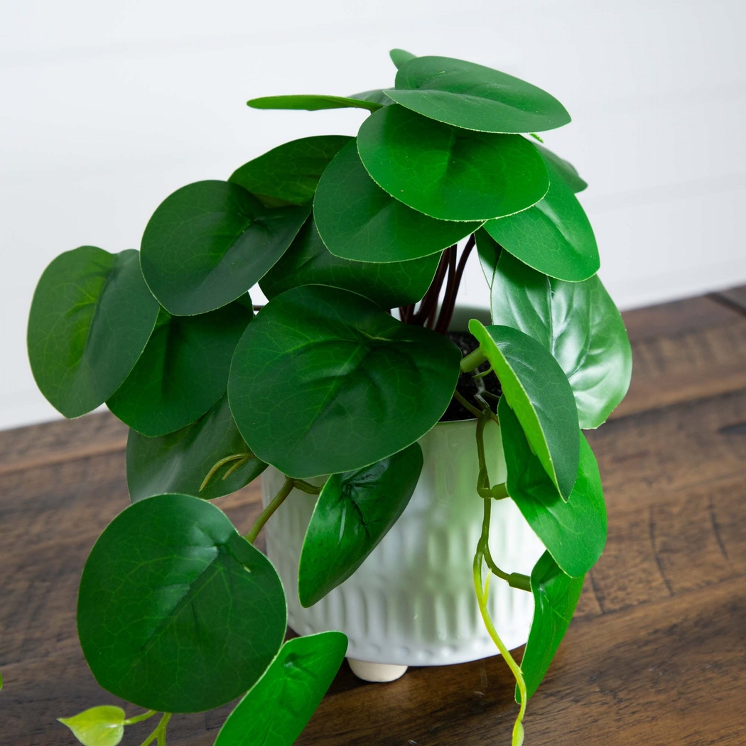 Kondrla Green Silk Plant, Set of 3 - Thumbnail - Image 9