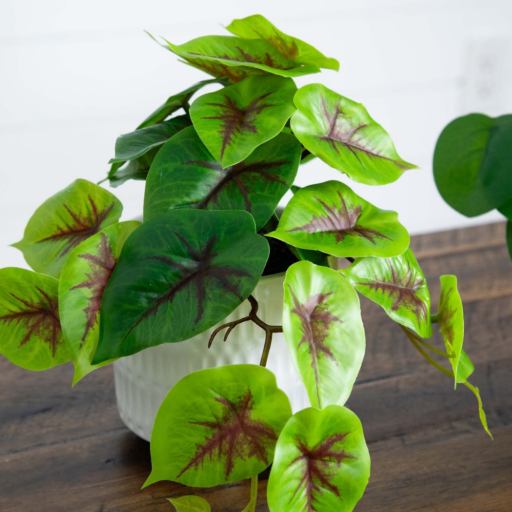 Kondrla Green Silk Plant, Set of 3 - Thumbnail - Image 10