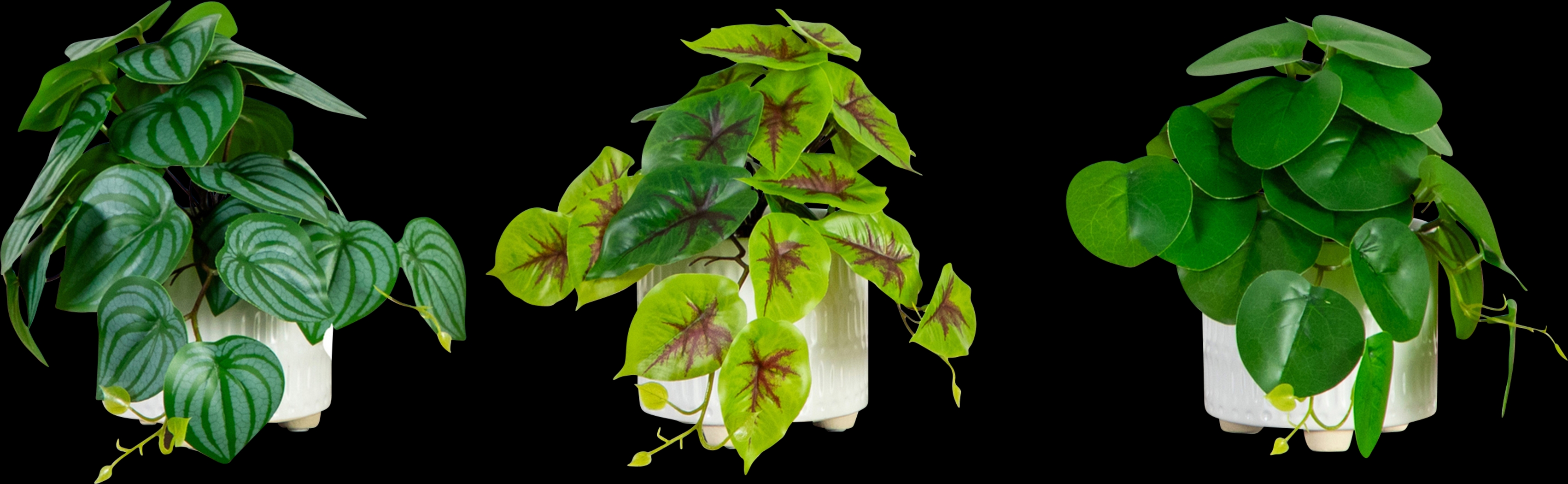 Kondrla Green Silk Plant, Set of 3 - Thumbnail - Image 1