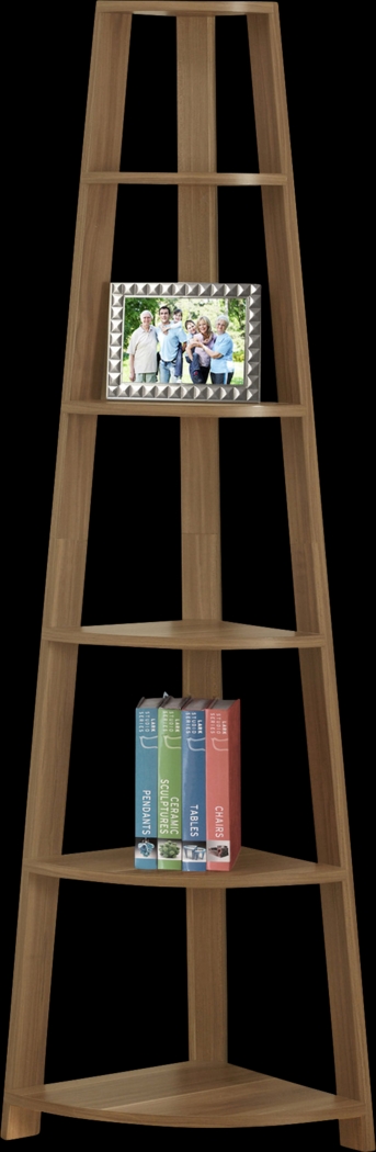Korgan Walnut Bookcase - Thumbnail - Image 1