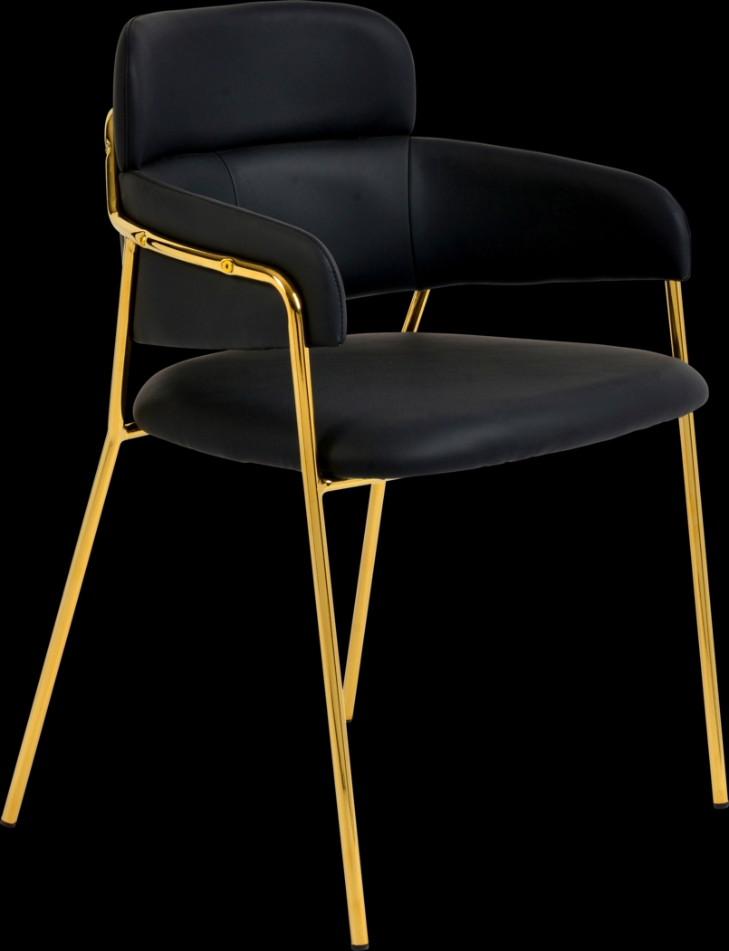 Kune Black Arm Chair, Set of 2 - Thumbnail - Image 2