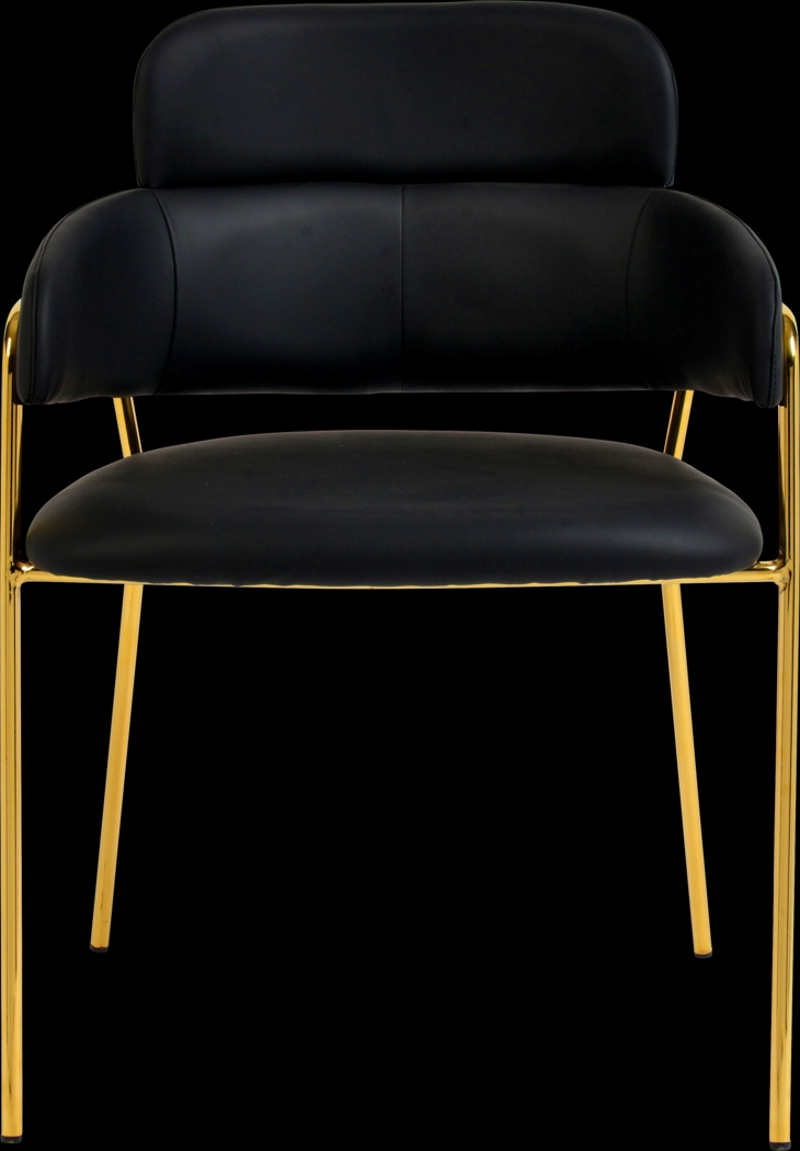 Kune Black Arm Chair, Set of 2 - Thumbnail - Image 3