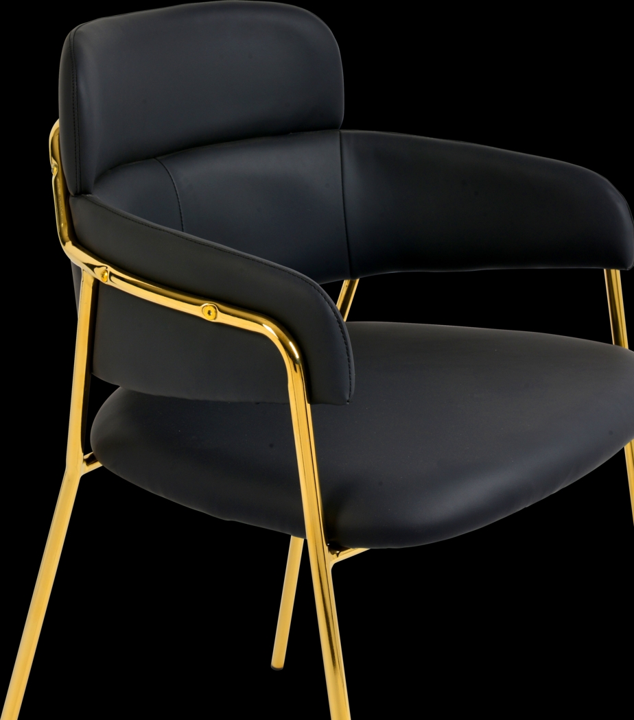 Kune Black Arm Chair, Set of 2 - Thumbnail - Image 6