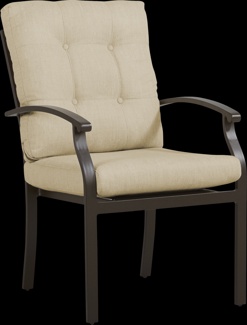 Lake Breeze Aged Bronze Outdoor Dining Chair with Straw Cushions - Thumbnail - Image 1