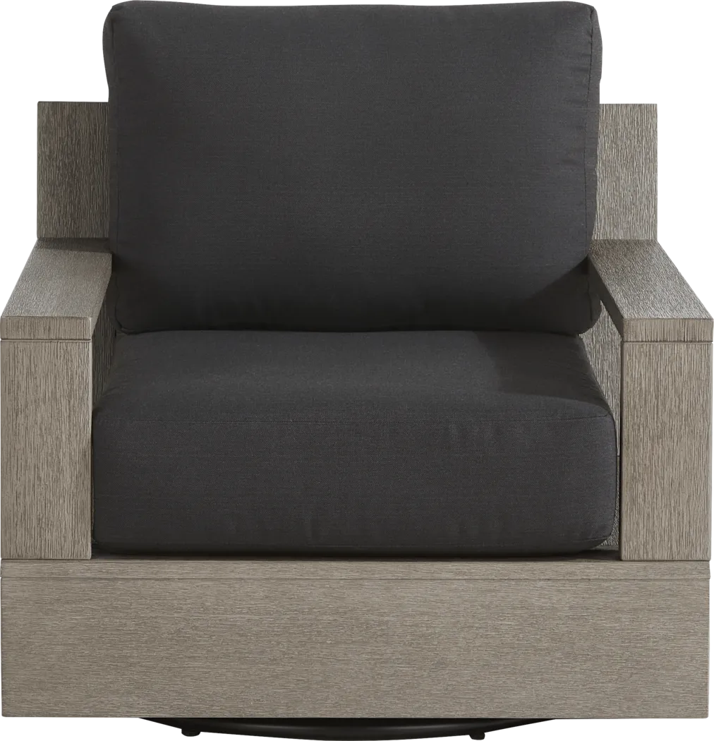 Lake Tahoe Gray Outdoor Swivel Chair with Charcoal Pillows - Thumbnail - Image 2