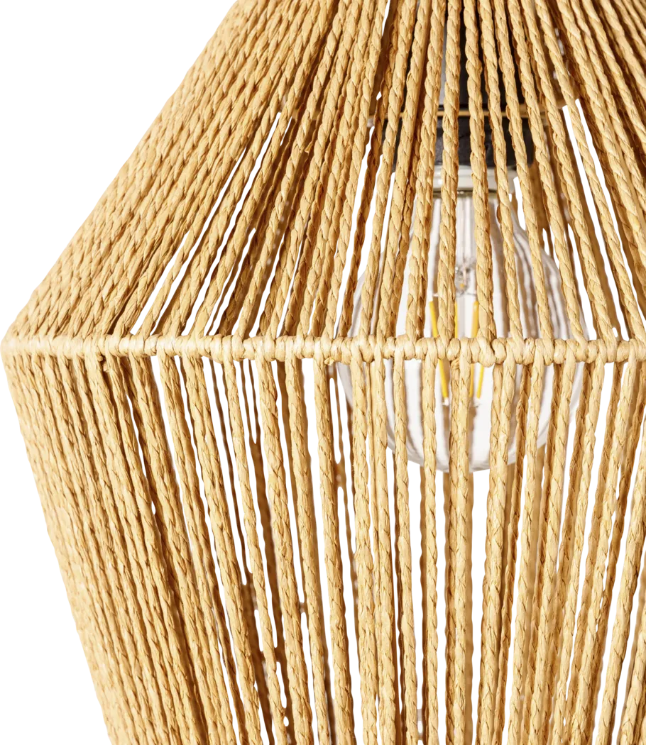 Lamothe Nest Natural Pendant - Thumbnail - Image 3