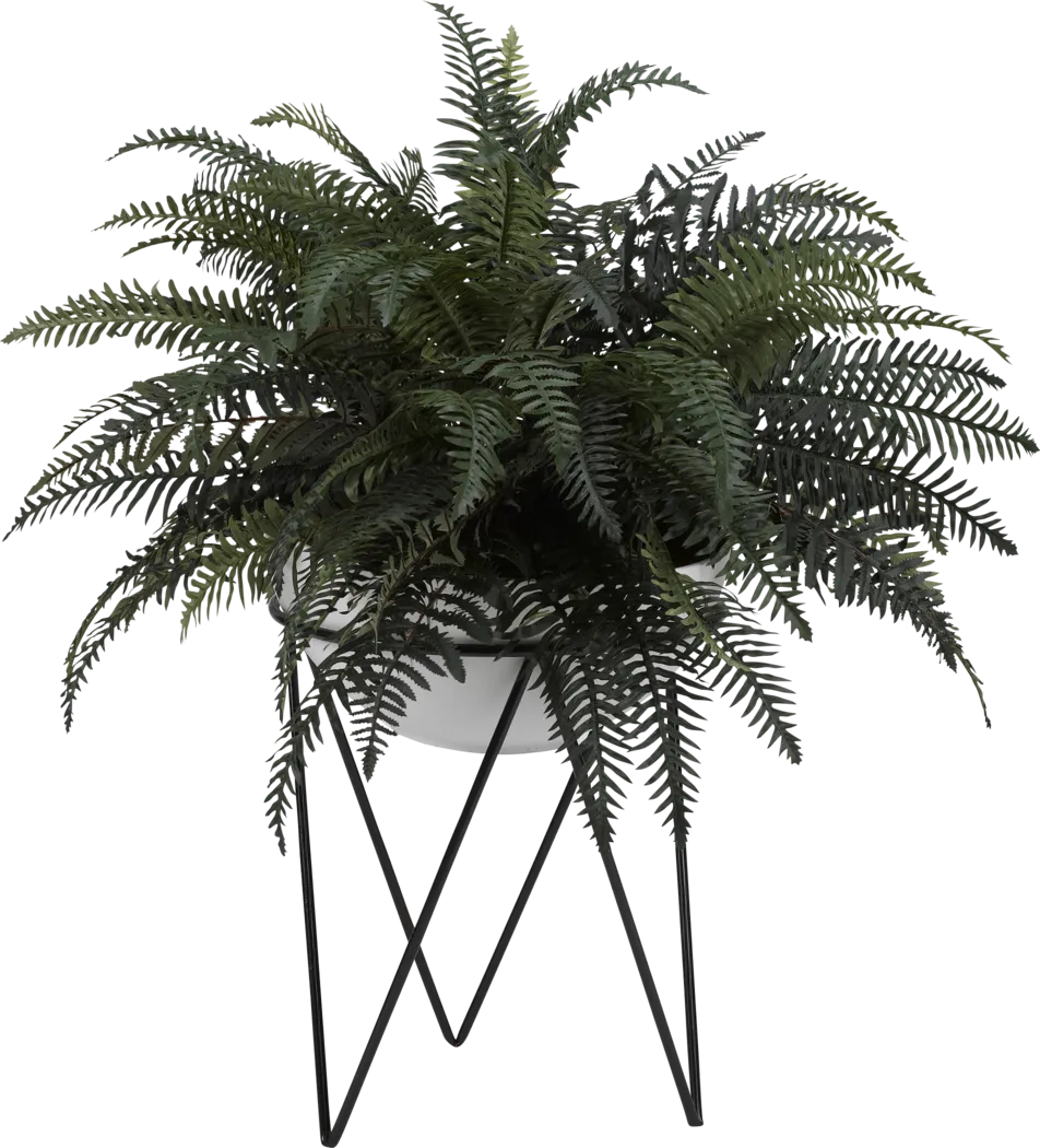 Landrie Green Fern Silk Plant - Thumbnail - Image 1