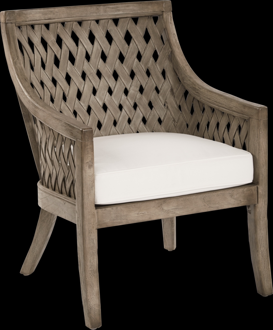 Lanian Gray Accent Chair - Thumbnail - Image 1