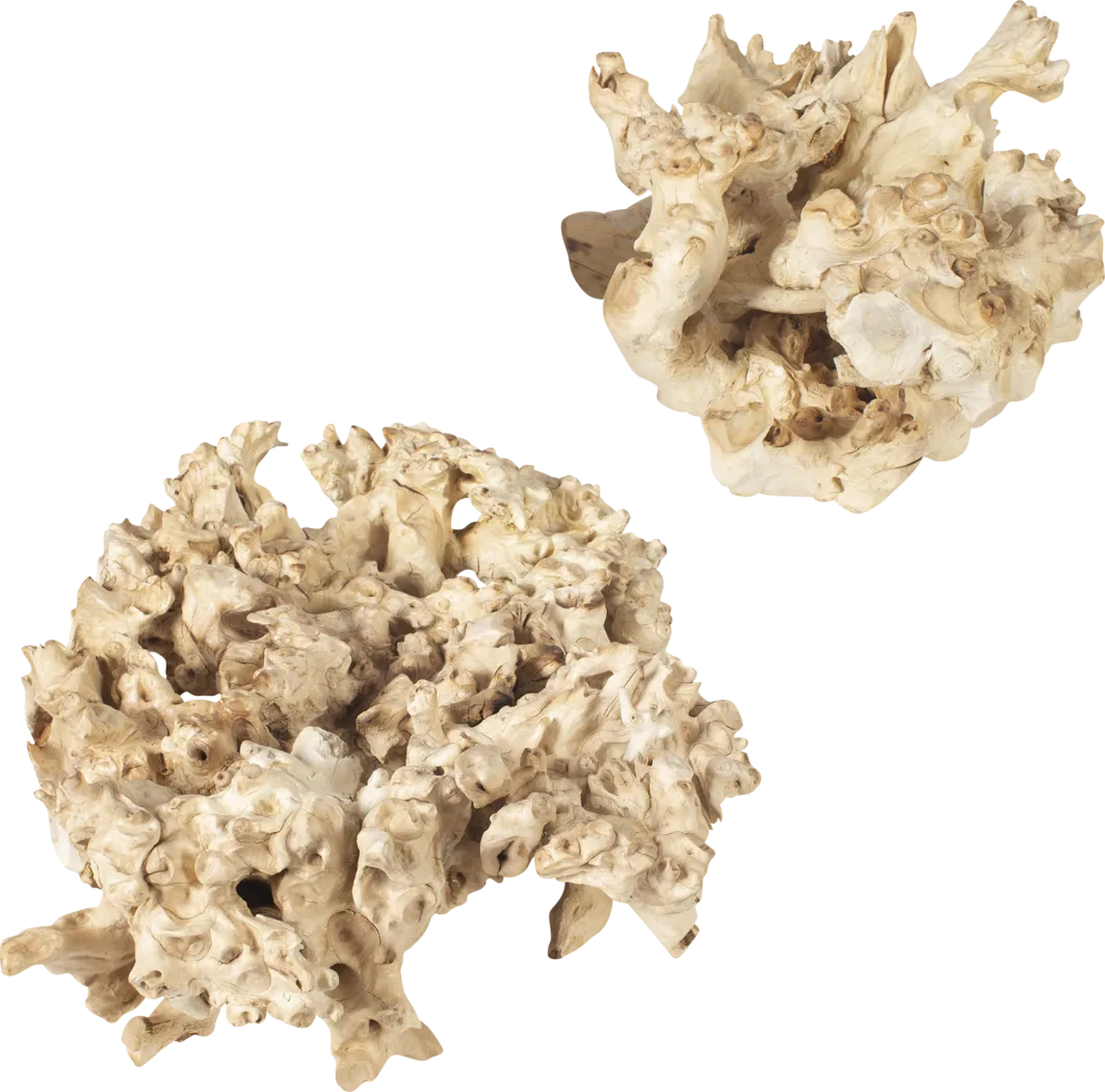 Lascari Ivory Outdoor Sculputure, Set of 2 - Thumbnail - Image 2