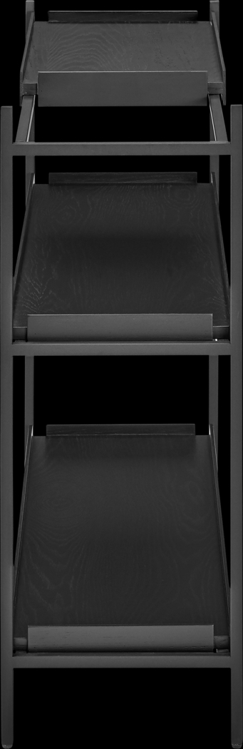 Leopardcast III Black Bookcase - Thumbnail - Image 3