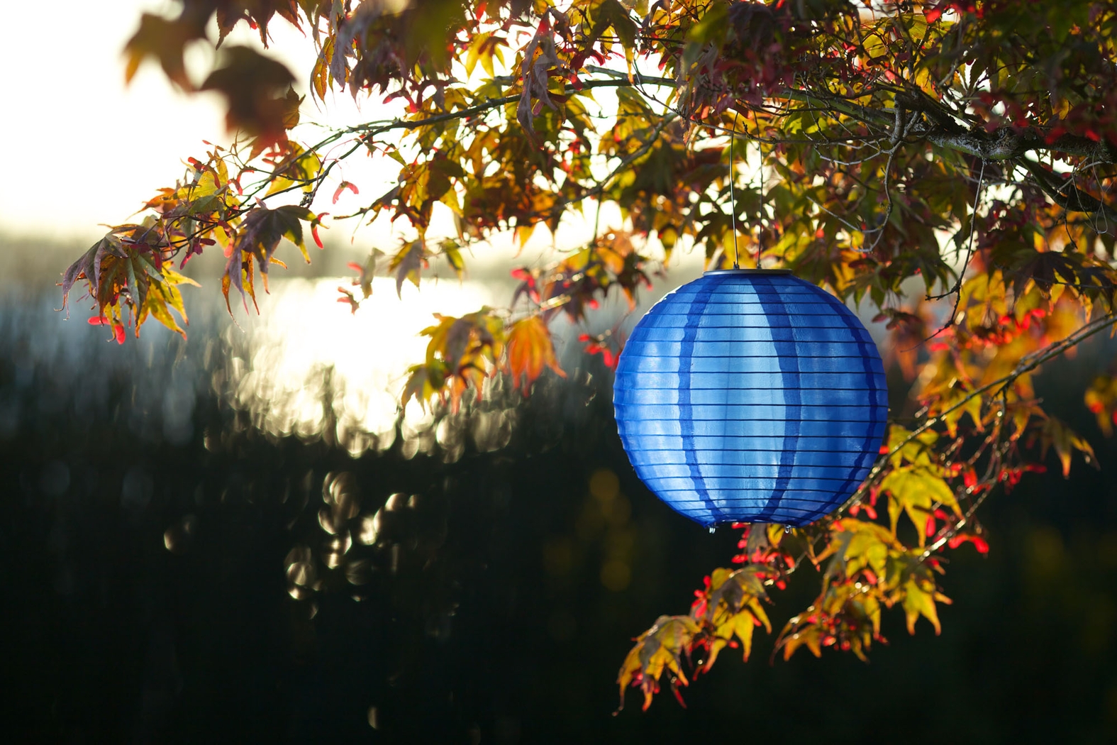 Lita Blue Outdoor Solar Lantern - Thumbnail - Image 2