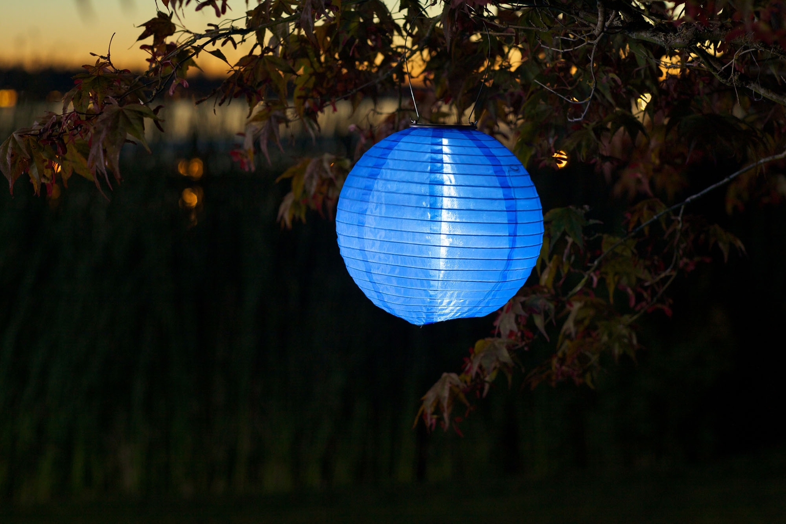 Lita Blue Outdoor Solar Lantern - Thumbnail - Image 3
