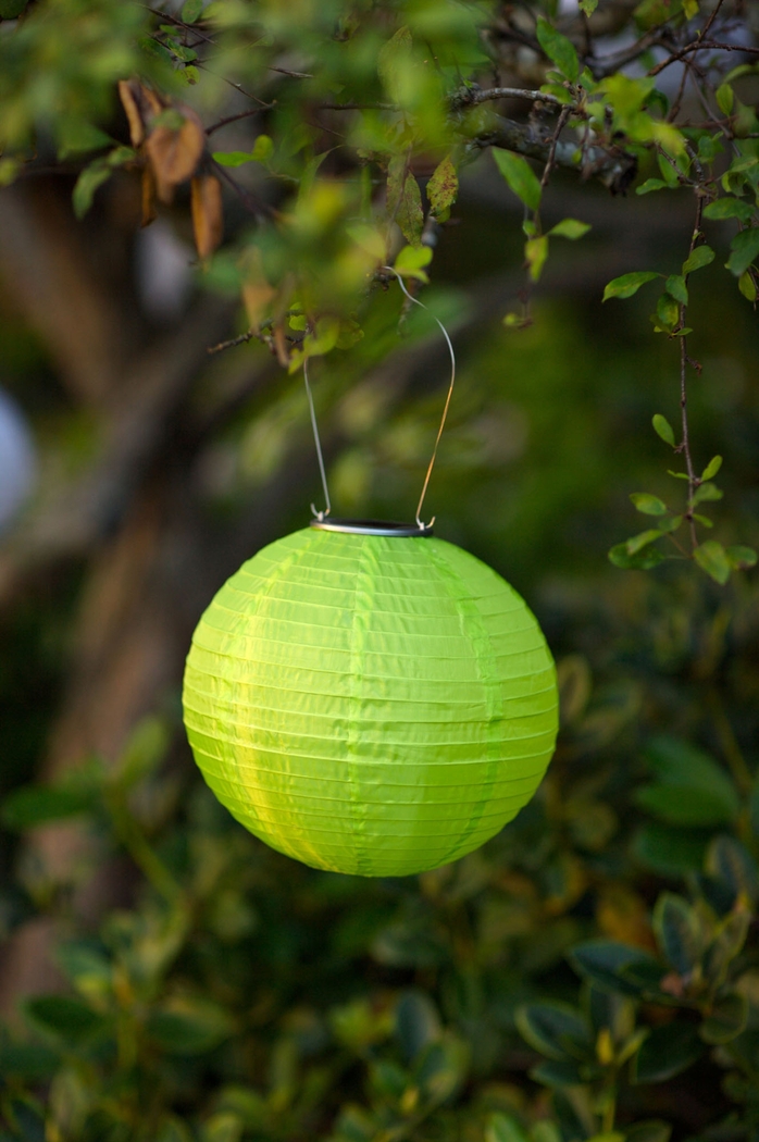 Lita Green Outdoor Solar Lantern - Thumbnail - Image 4