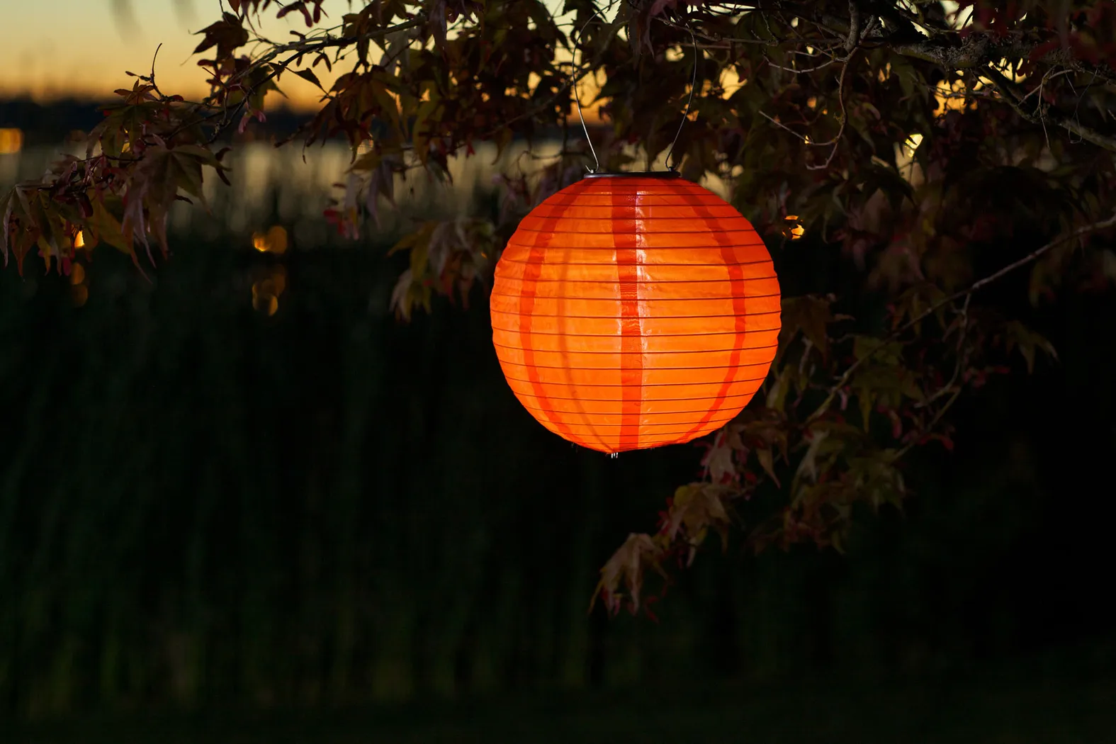 Lita Orange Outdoor Solar Lantern - Thumbnail - Image 3