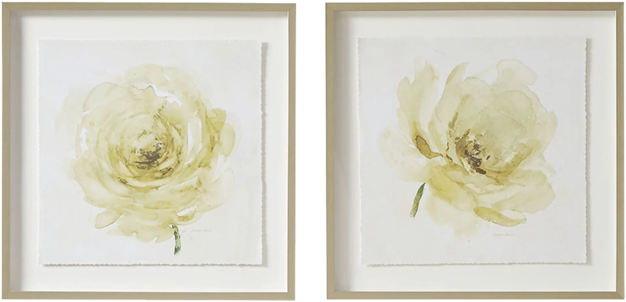 Lorna's Roses Ivory Artwork, Set of 2 - Thumbnail - Image 1