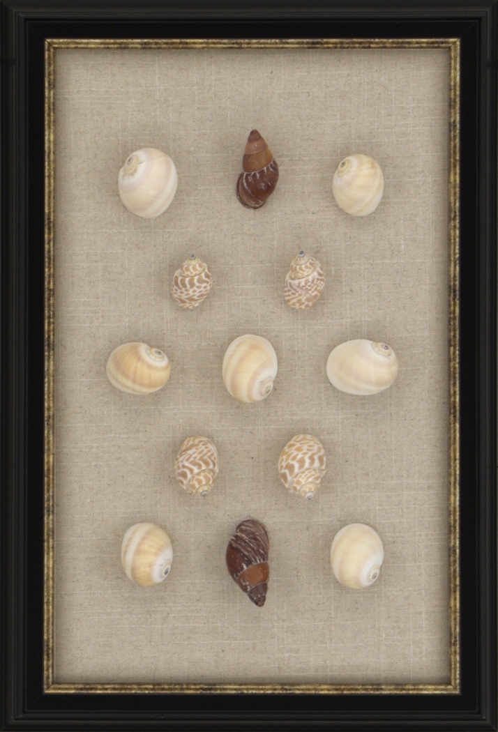 Lua Shell Beige Artwork - Thumbnail - Image 1