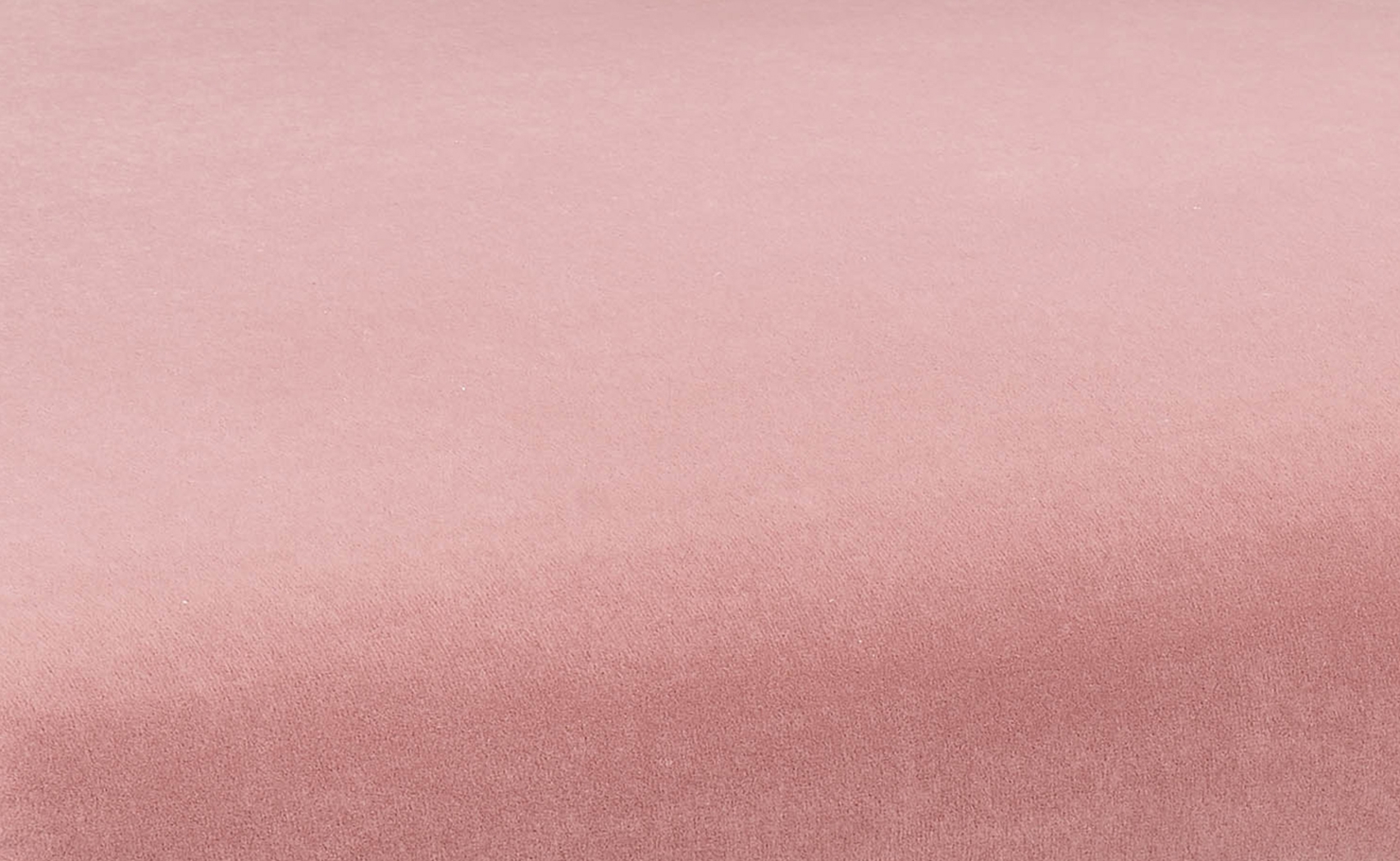 Luna Ann Blush Dining Chair - Thumbnail - Image 6