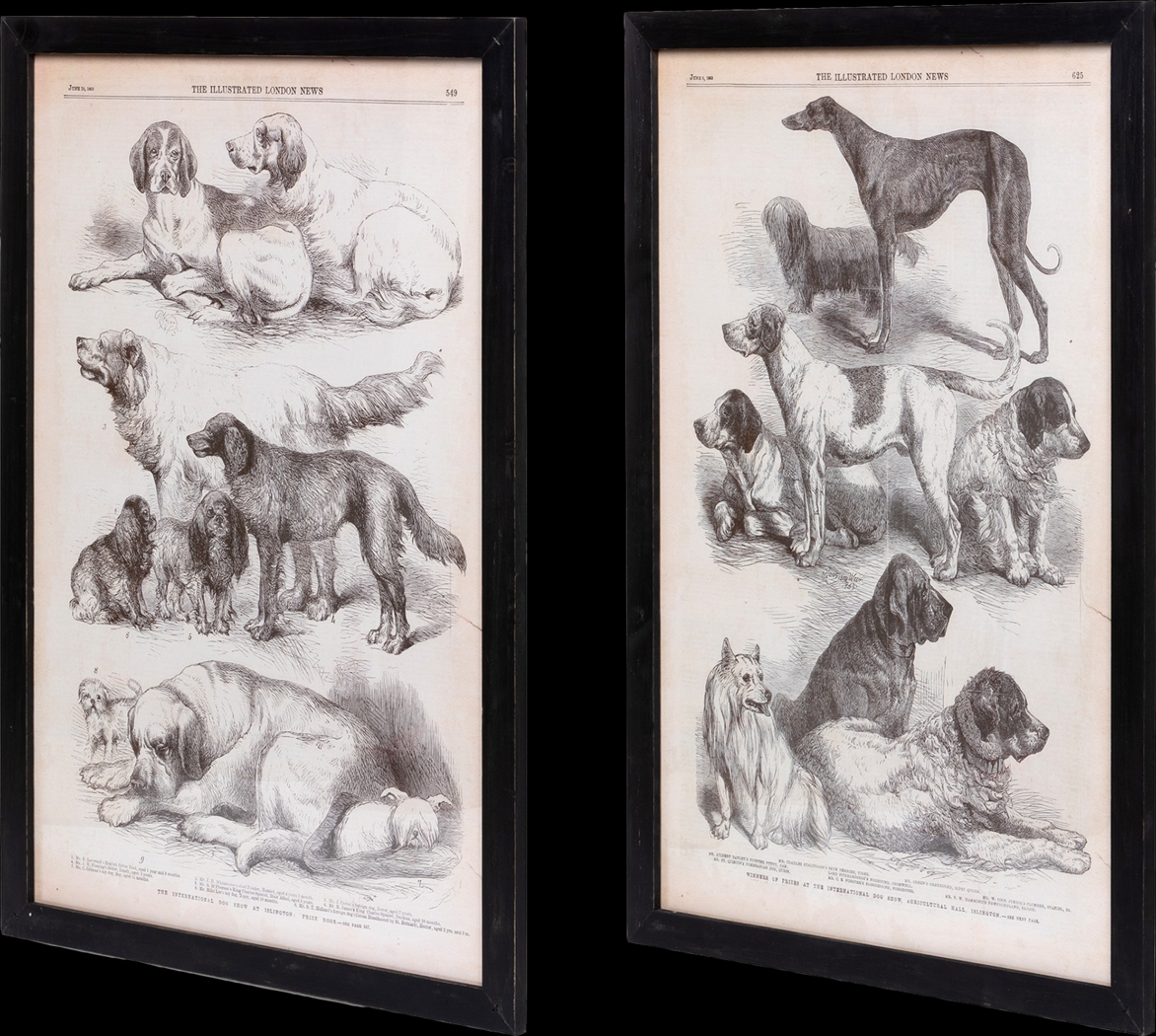 Majestia Black Artwork, Set of 2 - Thumbnail - Image 3